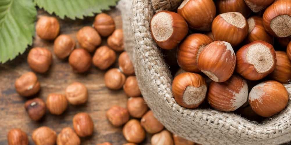 benefits-of-hazelnuts-e1660628158124 benefits-of-hazelnuts-e1660628158124